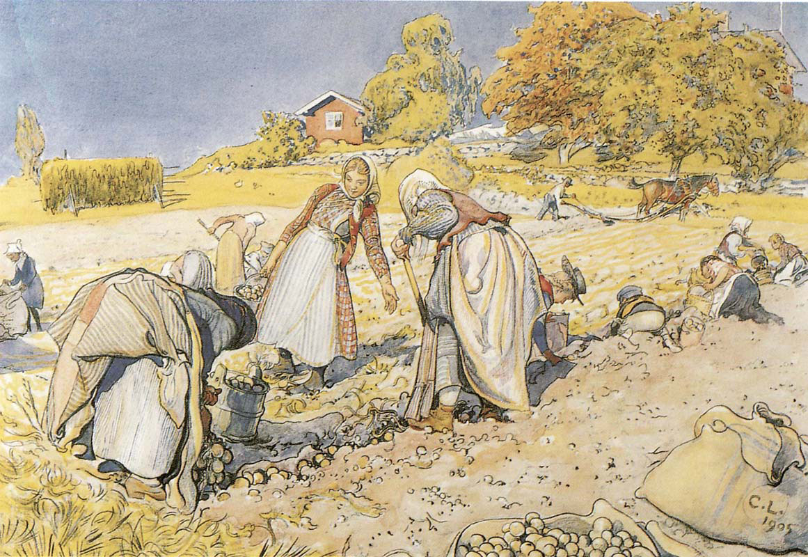 The Potato Harvest